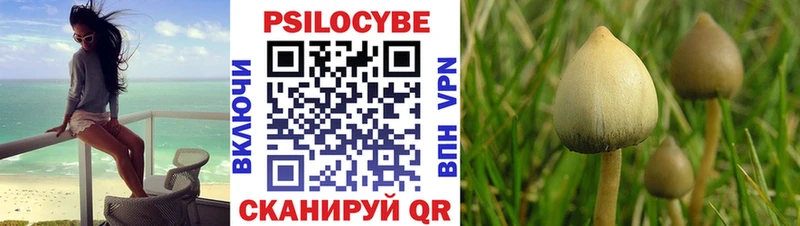 Галлюциногенные грибы ЛСД Новая Ладога